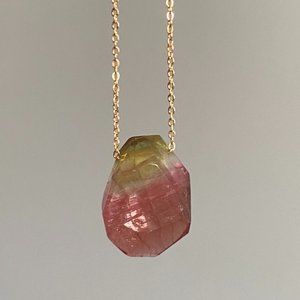 Pratt Daddy Watermelon Tourmaline Pendant w/ 14k Gold filled chain Very Rare